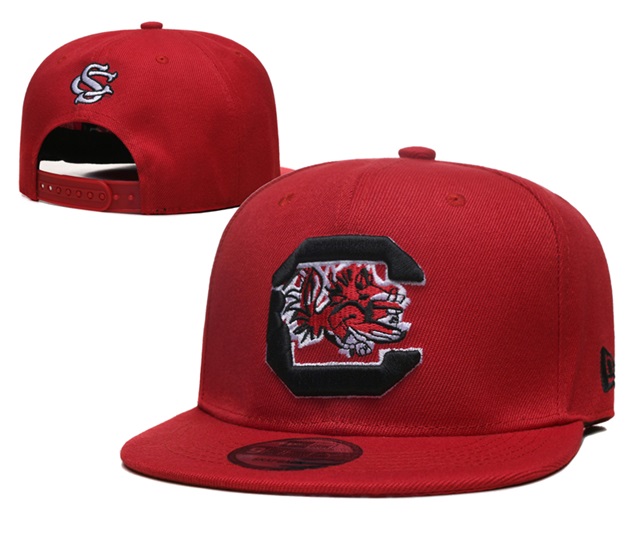 NCAA snapback caps-009